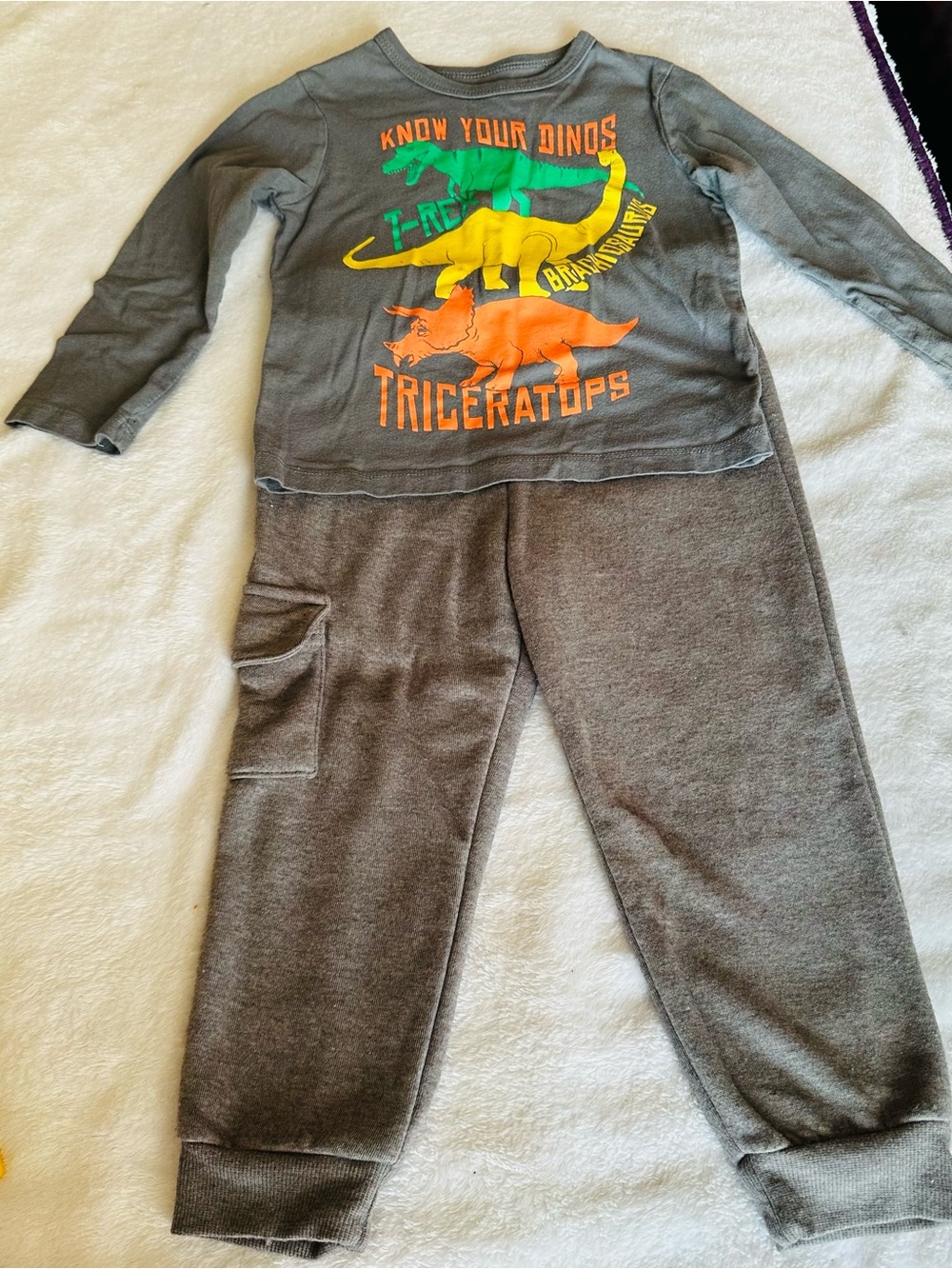 Kids Grey Dinosaur Graphic Sweatshirt & Jogger Set